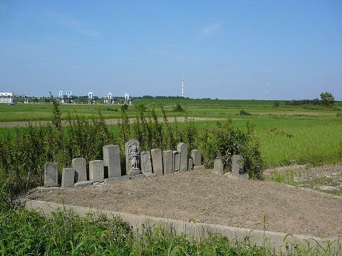 resize0151.jpg