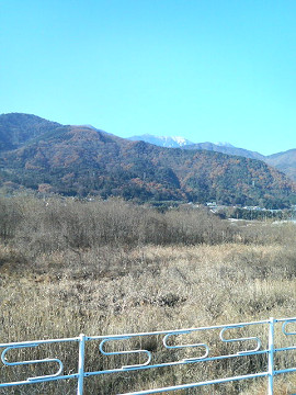 resize0279.jpg