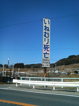 resize0285.jpg