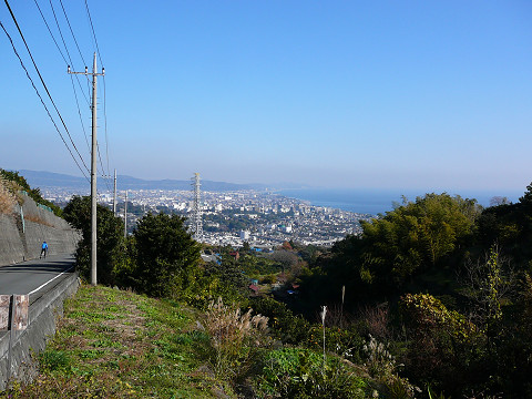 resize0296.jpg