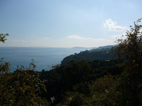 resize0299.jpg