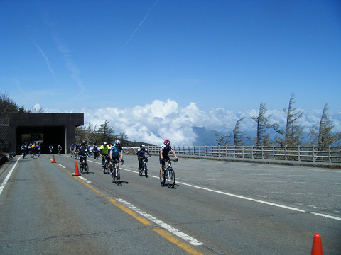 resize0534.jpg