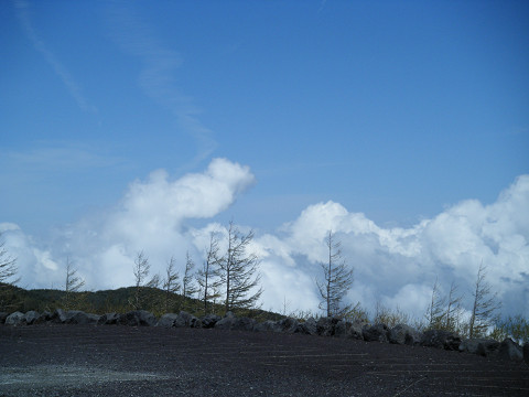 resize0540.jpg