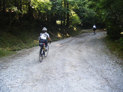 resize0582.jpg