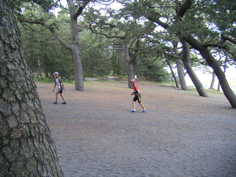 resize0621.jpg