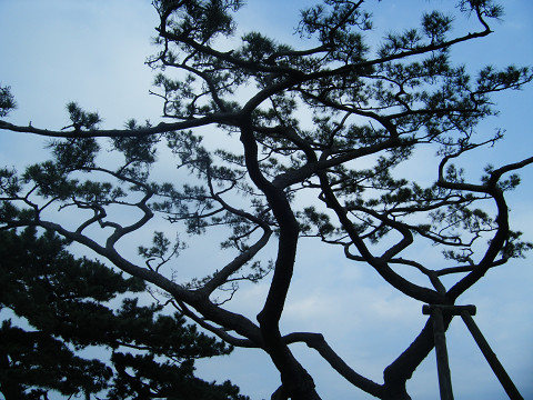 resize0622.jpg