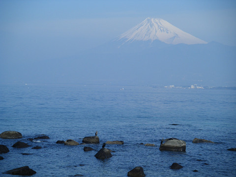 resize_0309c.jpg