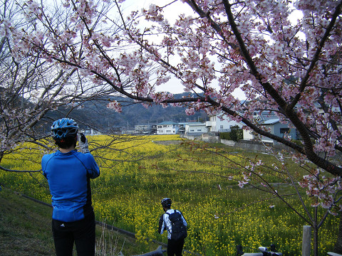 resize_0309j.jpg