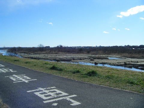2008_0101쏉w0001.JPG