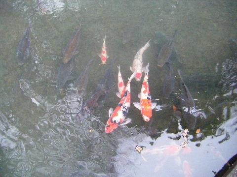 2008_0101쏉w0026.JPG
