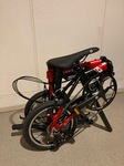 IMG_9164.jpg