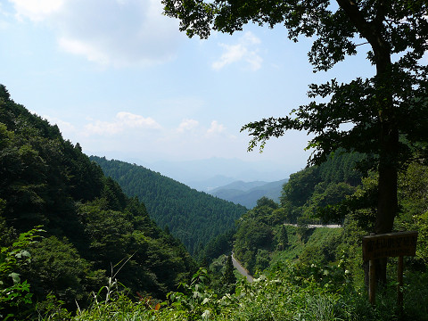 resize0032.jpg