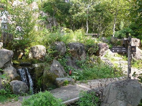 resize0057.jpg