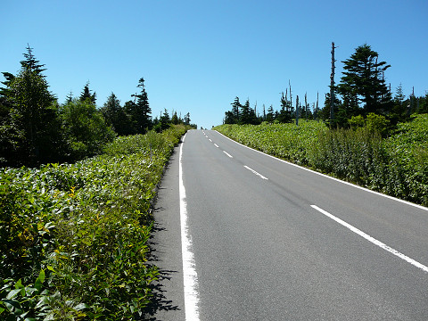 resize0072.jpg