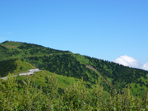 resize0075.jpg