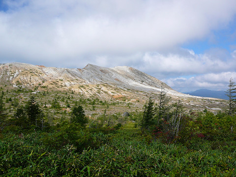 resize0086.jpg