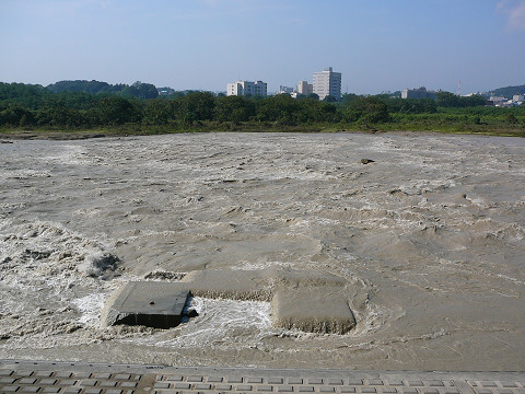 resize0099.jpg