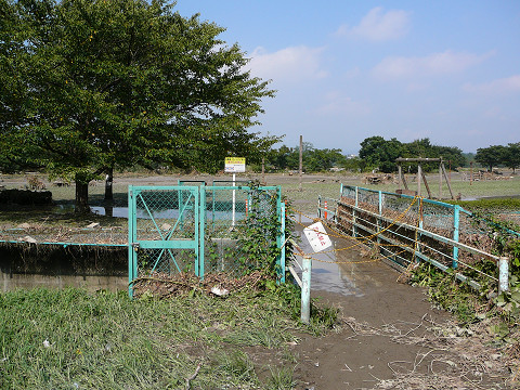 resize0102.jpg