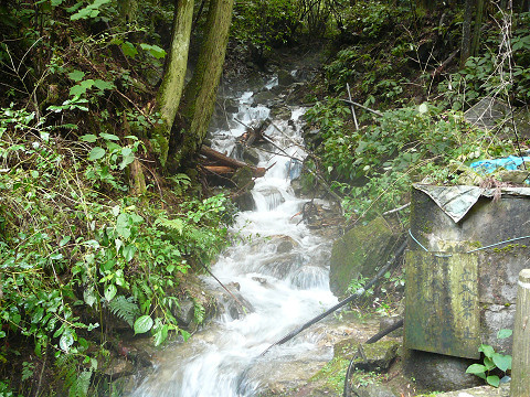 resize0107.jpg