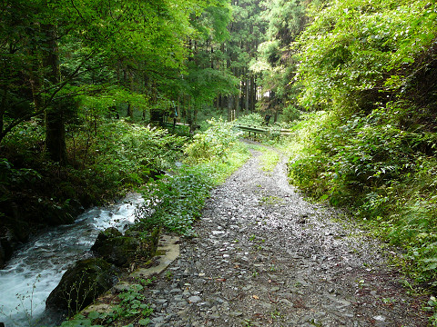 resize0111.jpg