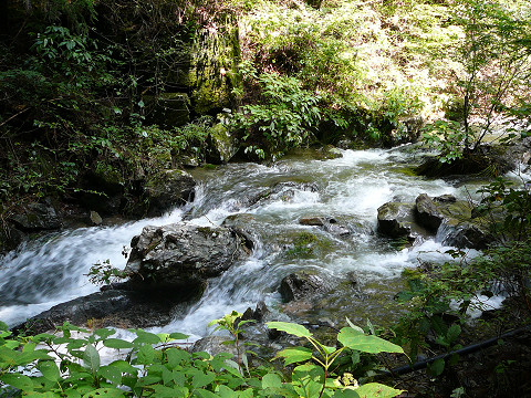 resize0112.jpg