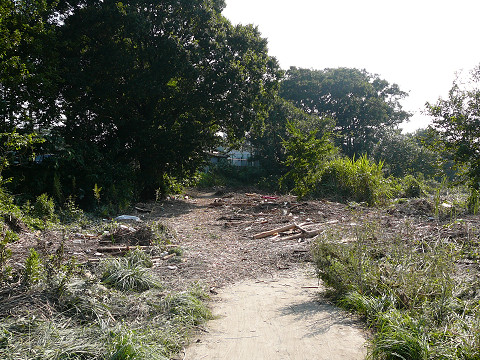 resize0117.jpg