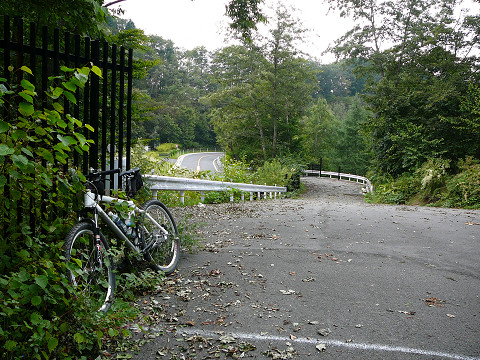 resize0126.jpg