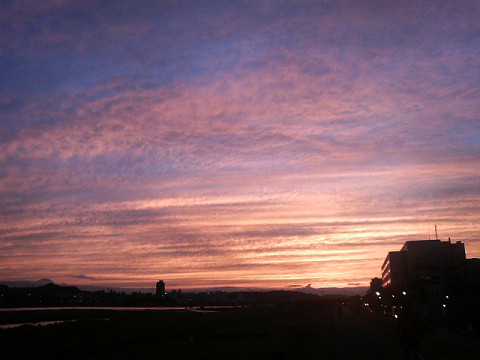 resize0133.jpg