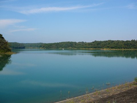 resize0165.jpg
