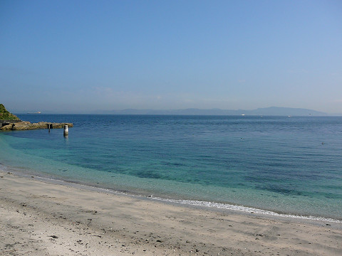 resize0178.jpg