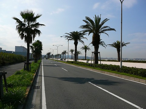 resize0181.jpg