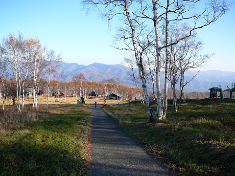 resize0202.jpg