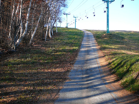 resize0203.jpg