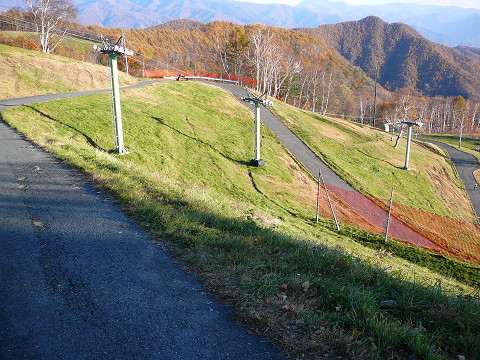 resize0206.jpg