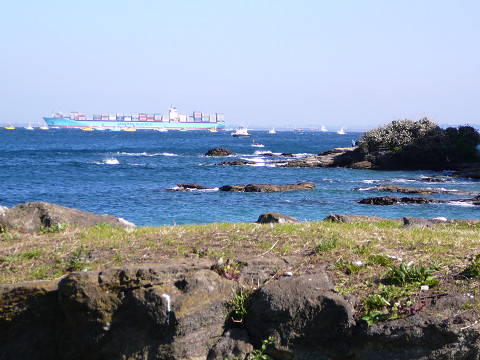 resize0238.jpg