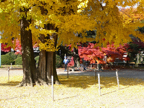 resize0269.jpg
