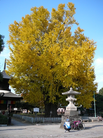resize0271.jpg