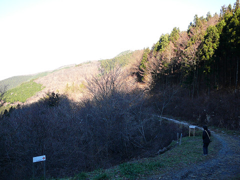 resize0308.jpg