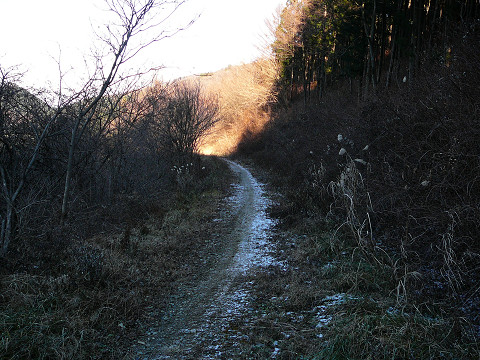 resize0309.jpg