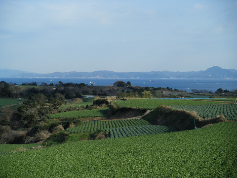 resize0347.jpg