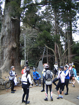 resize0445.jpg