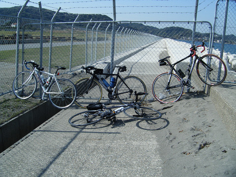 resize0450.jpg