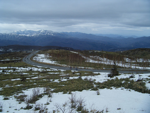 resize0470.jpg