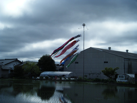 resize0474.jpg