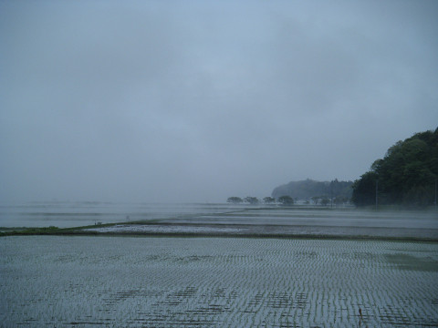 resize0482.jpg