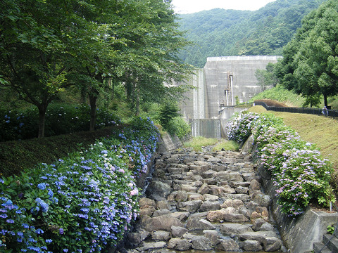 resize0578.jpg